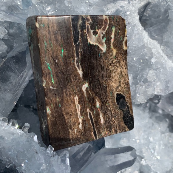 Precious conk opal - Picture 2 of 7